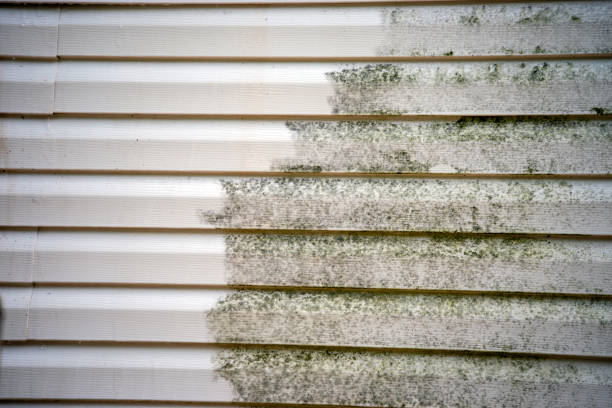 Affordable siding repair and maintenance services in Mayo, MD